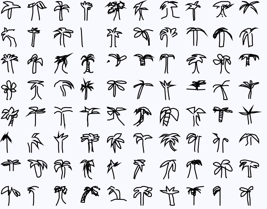 palm tree